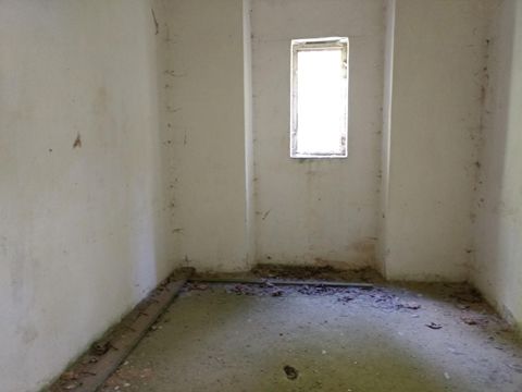 Foto 113